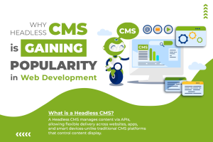 CMS is Gaining Popularity